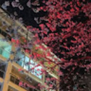 Meet your Posher, Sophii